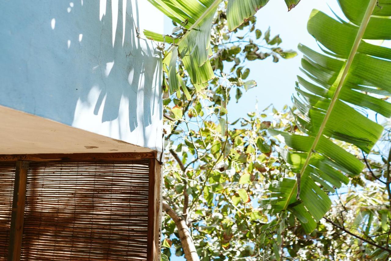 Tortuga Blue House In Banana Plantation Villa Arucas Eksteriør bilde